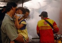 dengue cases covid-19, Southeast Asia, Latin America