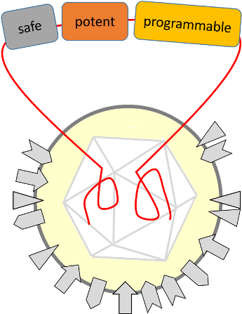 oncolytic virus, fraunhofer institute