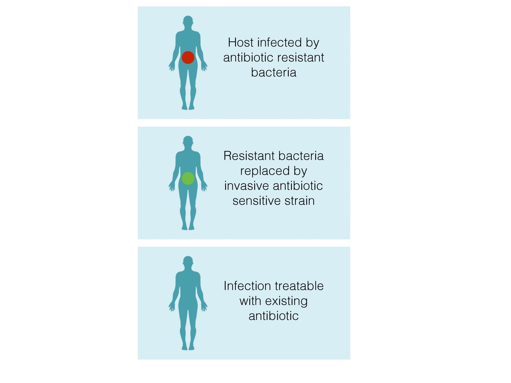 bacterial cells, evolutionary biology