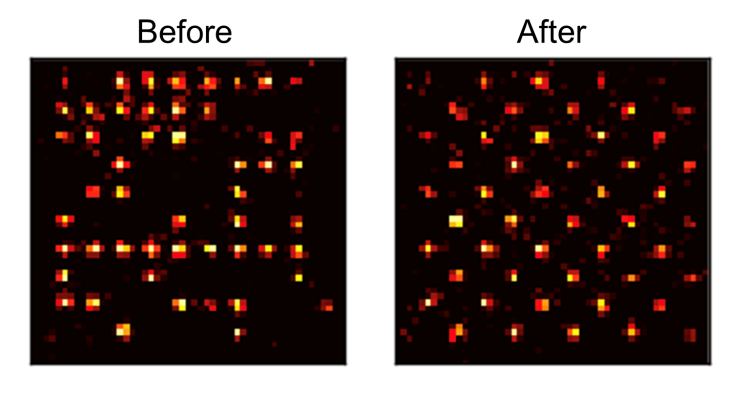Fig. 2 Images of occupied lattice sites before and after atomic rearrangement showing the engineering of a defect-free atomic array (Courtesy of Antoine Browaeys).