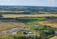 food defense, food security