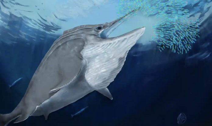 New ichthyosaur