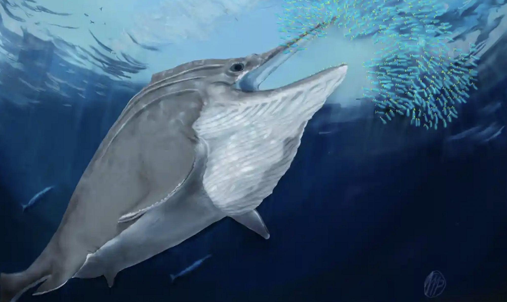 New ichthyosaur fossil said to be largest animal ever found