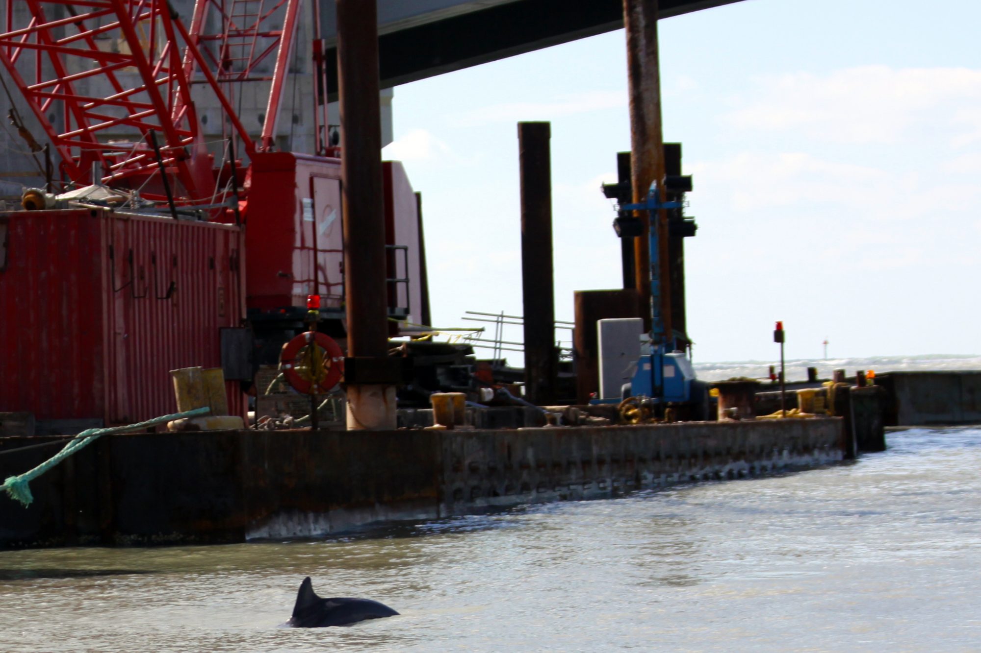 impacts of coastal construction