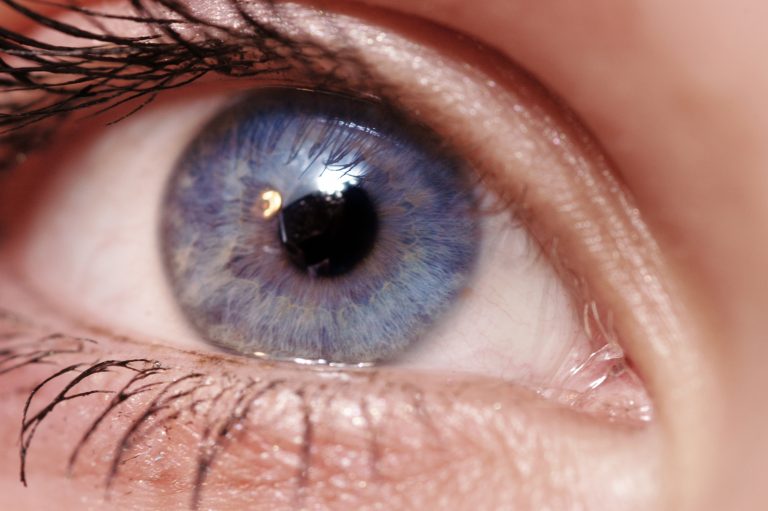 All people with blue eyes have one common ancestor 