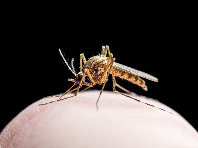 malaria treatments