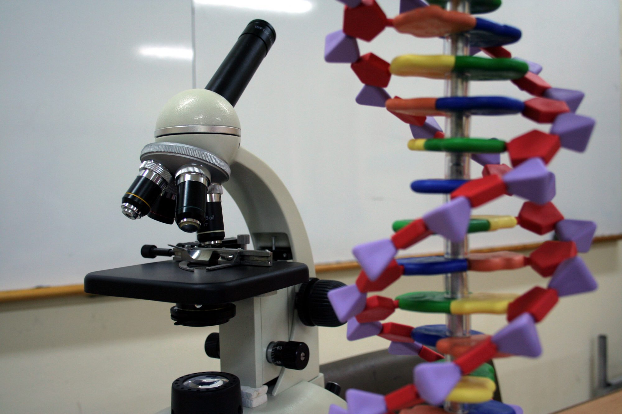 DNA motors, DNA nanotechnology