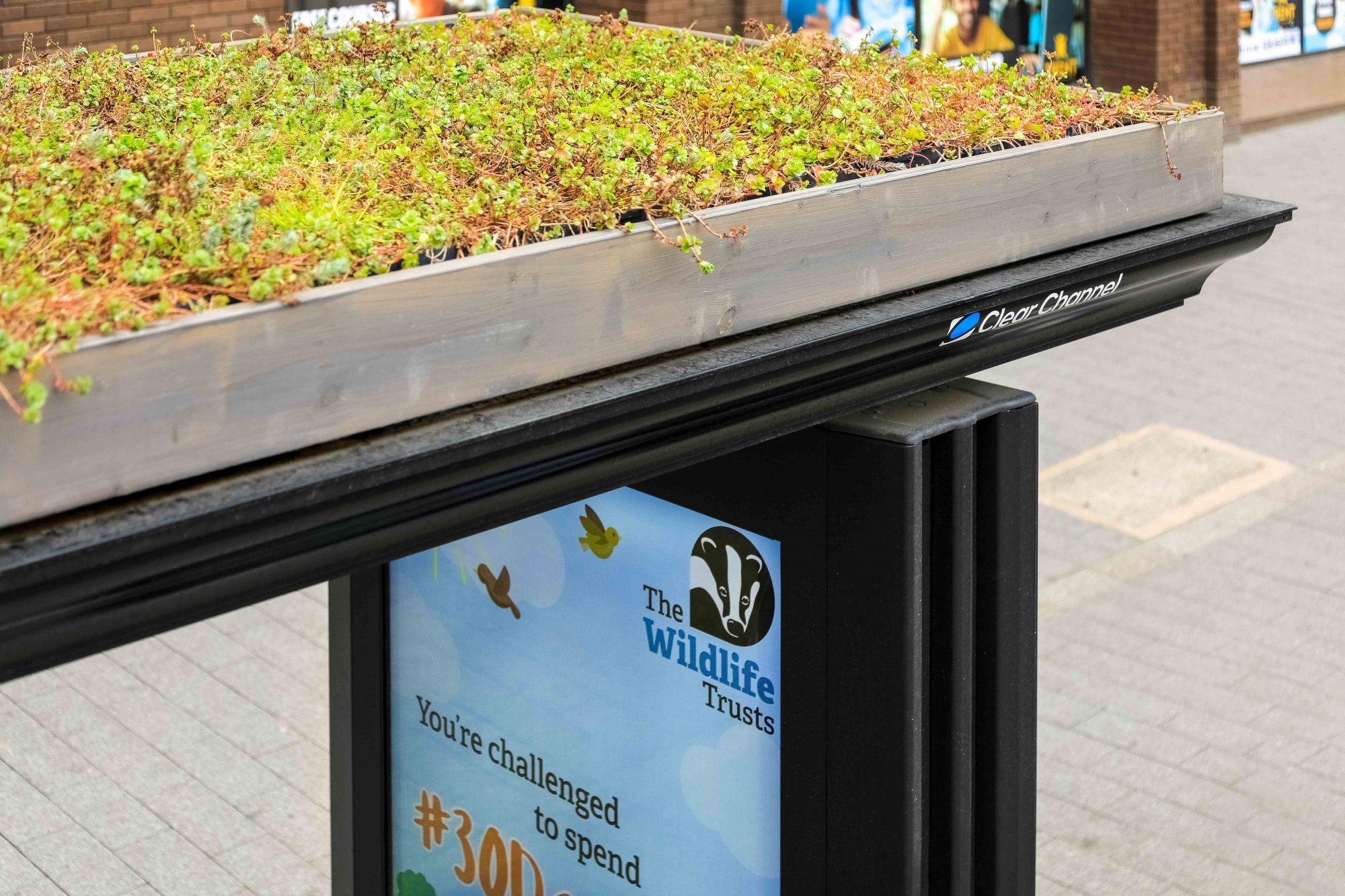 bee bus stops, living roofs