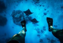 manta ray habitats, tourism