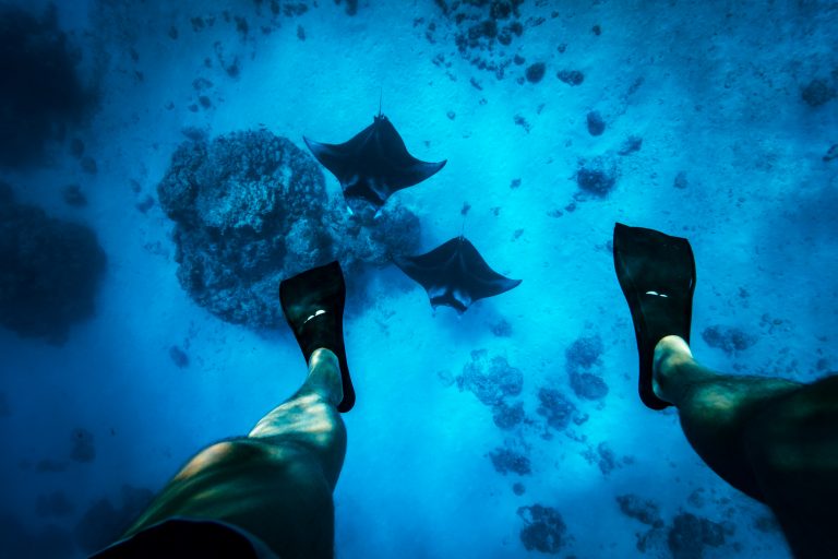 manta ray habitats, tourism