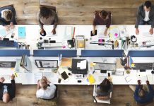 sustainable public sector, net zero