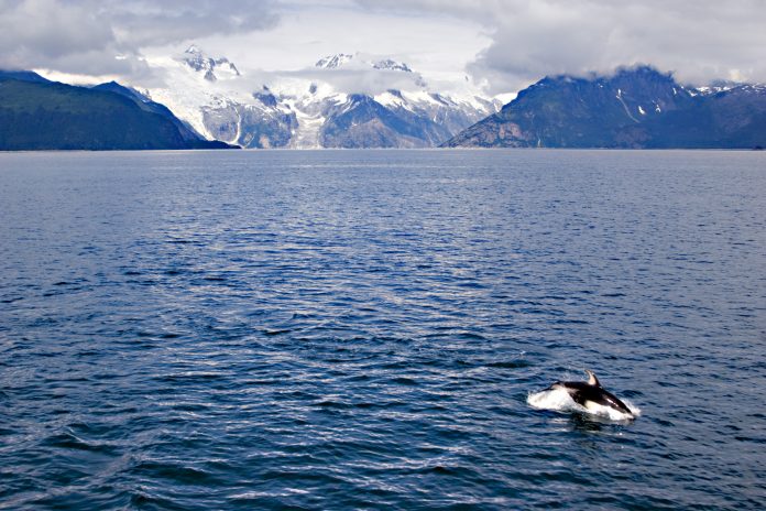 underwater drone, ocean acidification