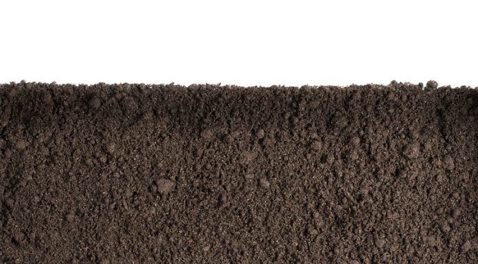 Soil Microbes