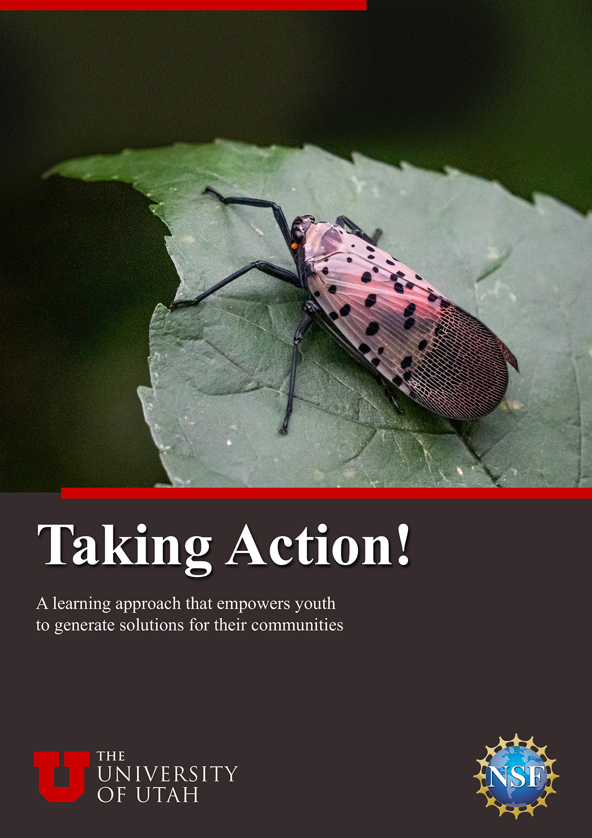 Taking Action!