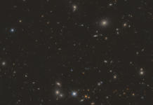 rarest galaxies