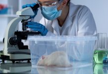 mouse model, cutaneous leishmaniasis, vaccination