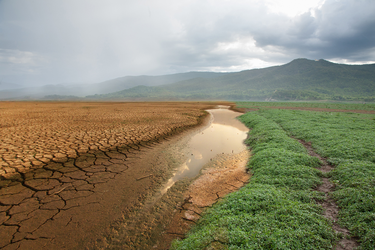 sustainability science