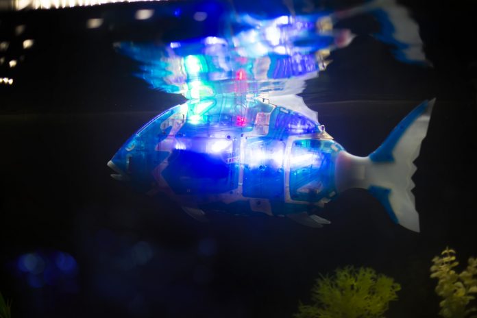 fish robot, Microplastics