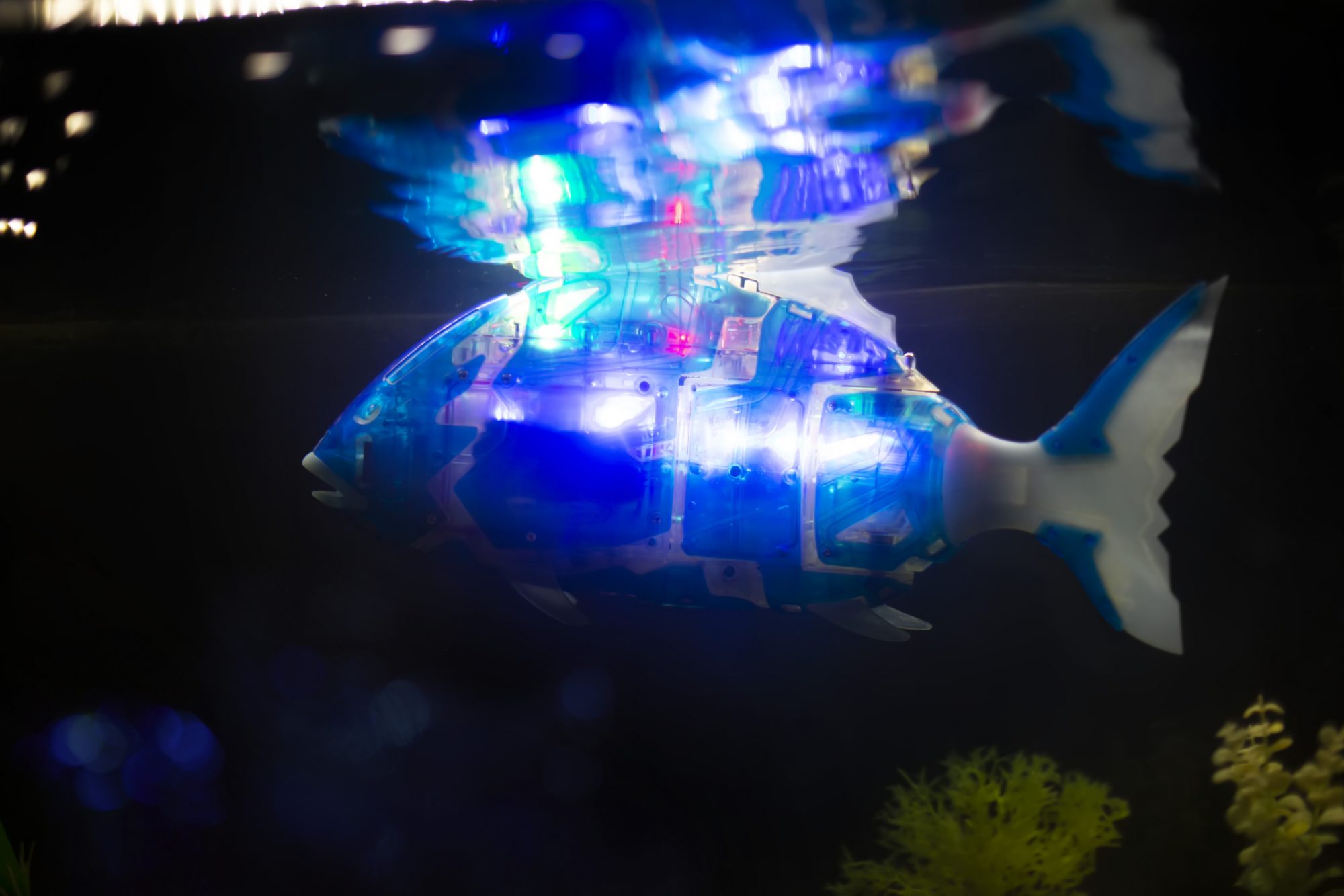 Chinese scientists develop robot fish that gobble up microplastics