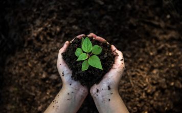 soil health, carbon