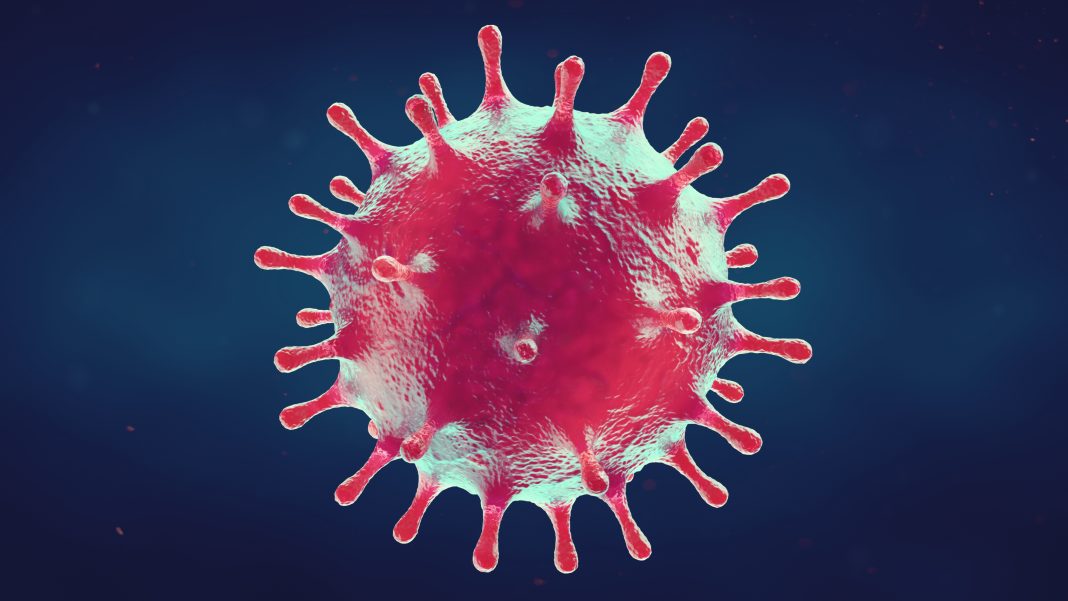 Disease X and other high priority diseases
