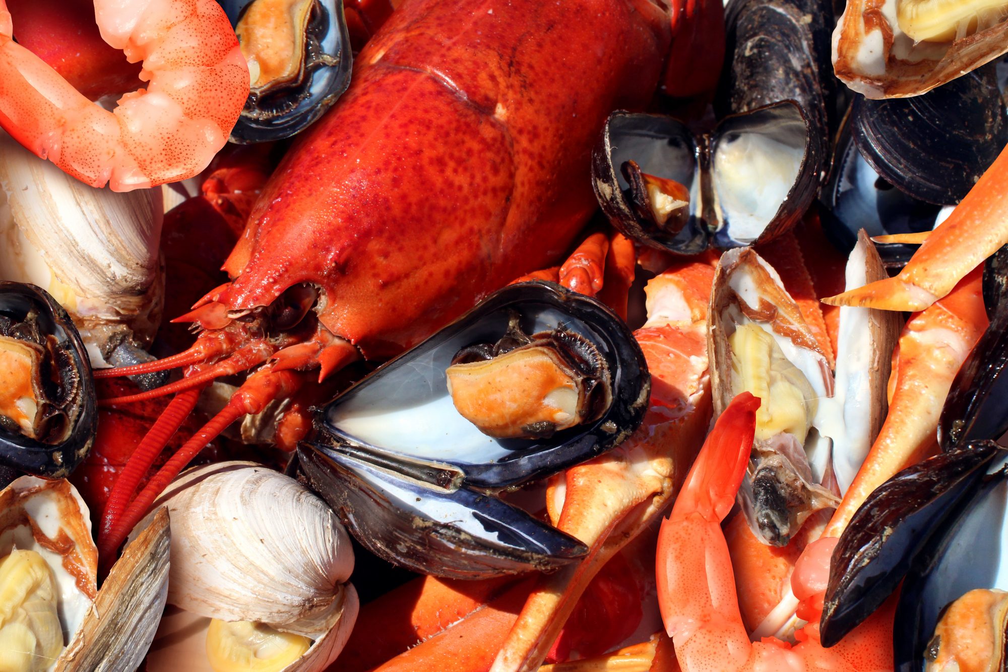 Shellfish poisoning