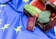 EU flag with nutritious food representing a brexit policy deal