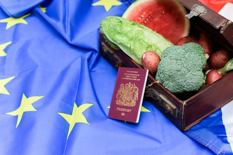 EU flag with nutritious food representing a brexit policy deal