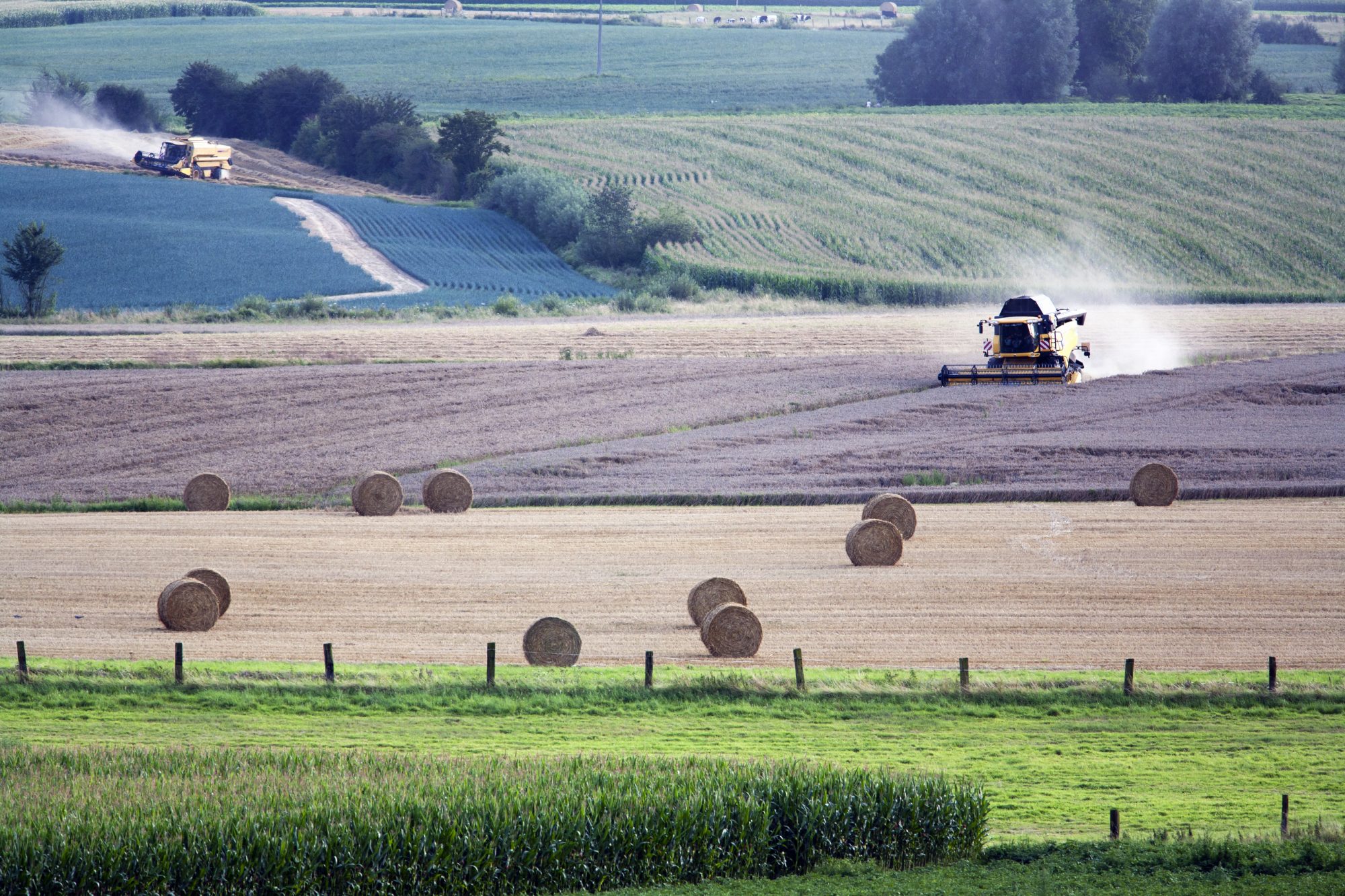 agriculture and combine harvesters in the North of France