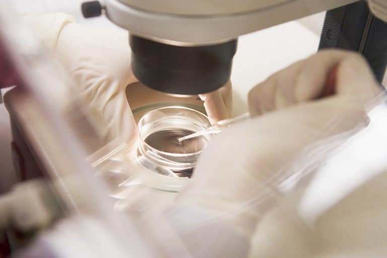 IVF treatment in a Petri dish, transferring embryo cell DNA