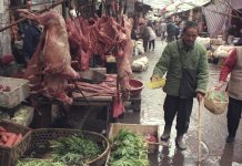 Dog meat at wet market in Wuhan