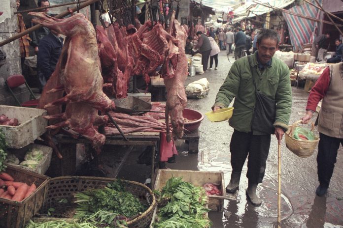 Dog meat at wet market in Wuhan