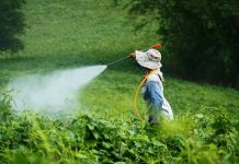 Woman spraying pesticides in a field