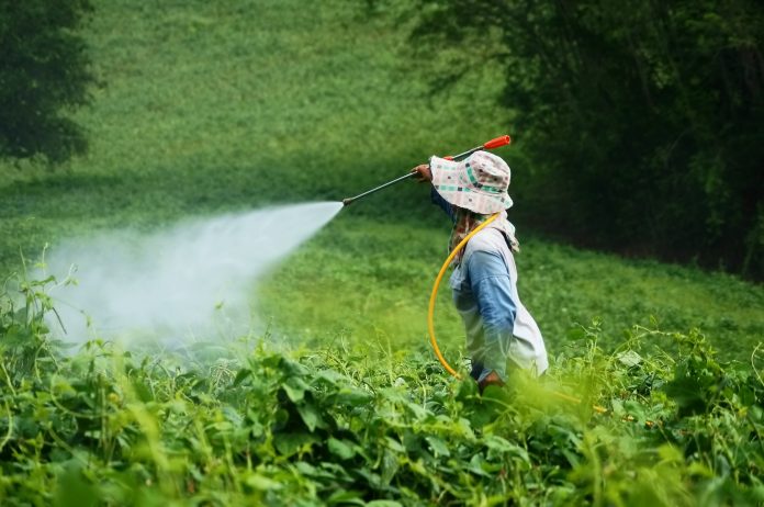 Woman spraying pesticides in a field