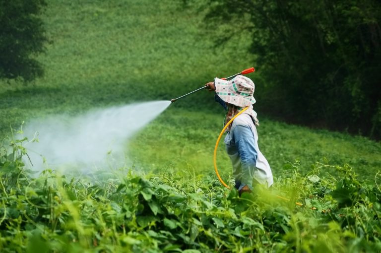 Woman spraying pesticides in a field