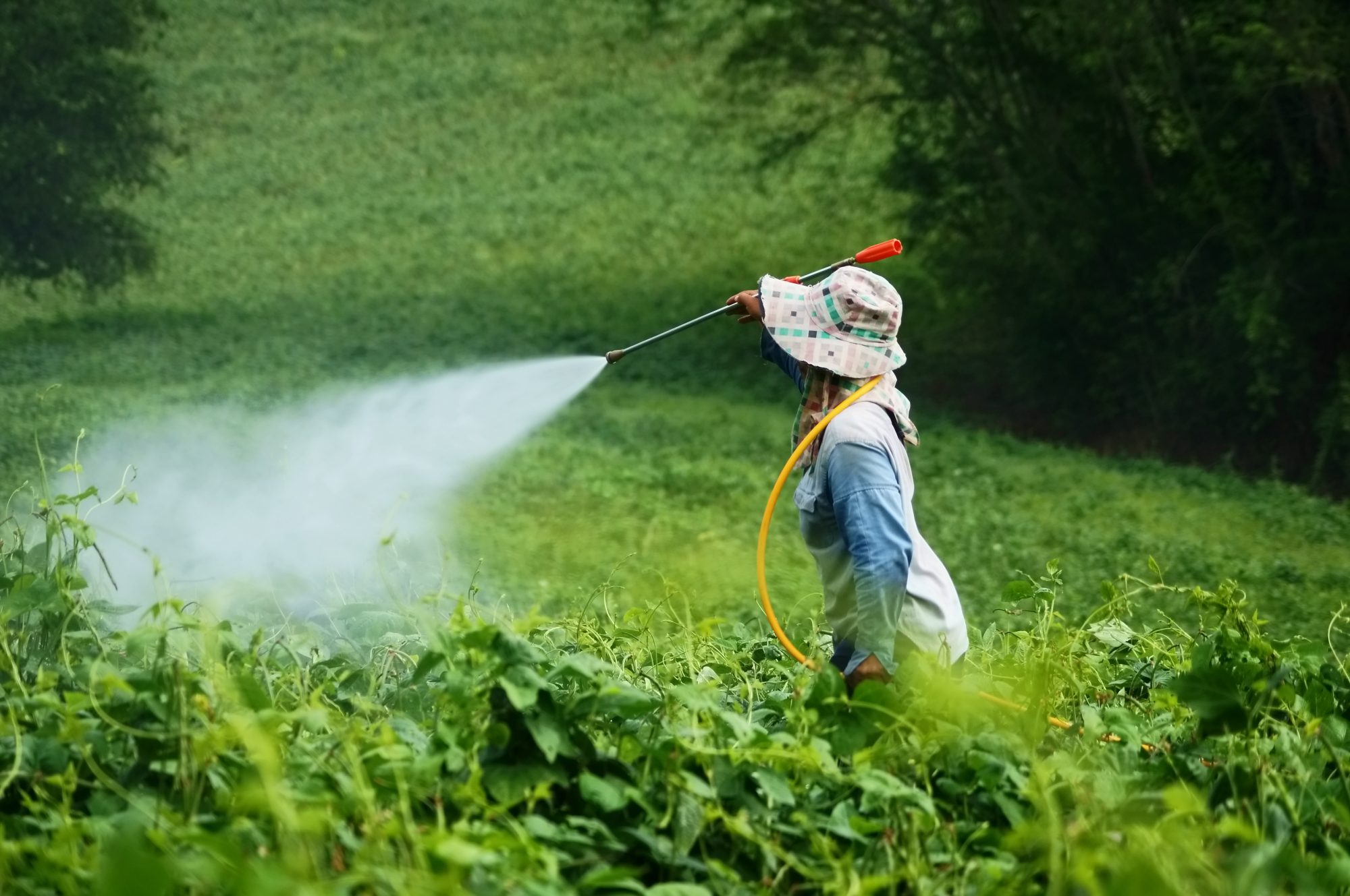 The EU must enforce a pesticide tax