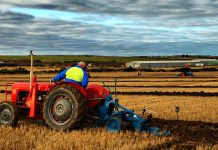 sustainable farming