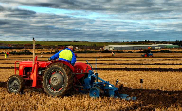 sustainable farming