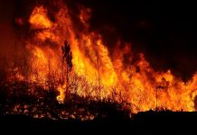 Flames erupting in forest in Portugal, Europe