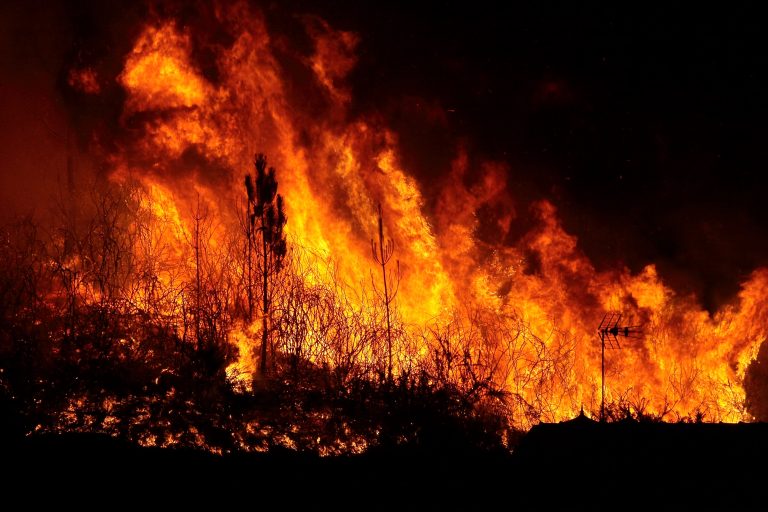 Flames erupting in forest in Portugal, Europe