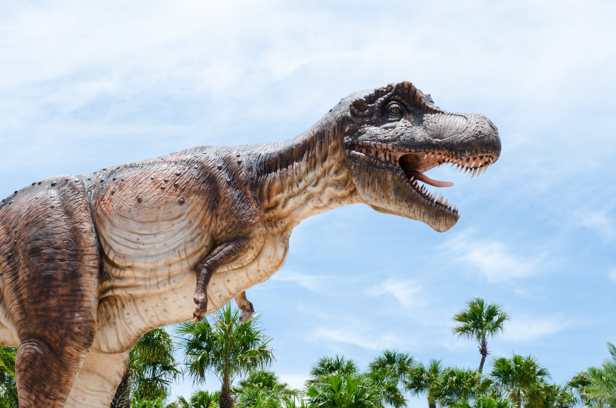 Dinosaurs: Why did 'T. rex' have such tiny arms?, Science