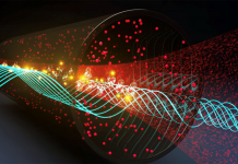 Rydberg atoms: quantum electric field sensors