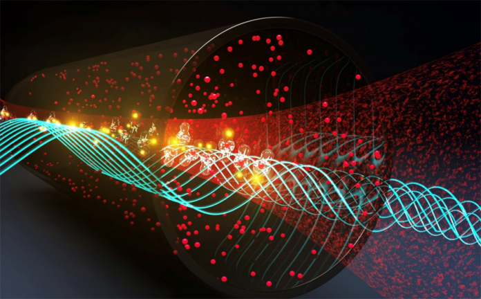 Rydberg atoms: quantum electric field sensors