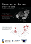 The nuclear architecture of cancer cells