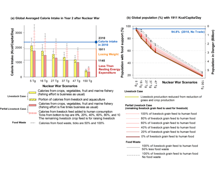 Graph illustrating 'The global averaged calorie intake two years after a potential nuclear war.'