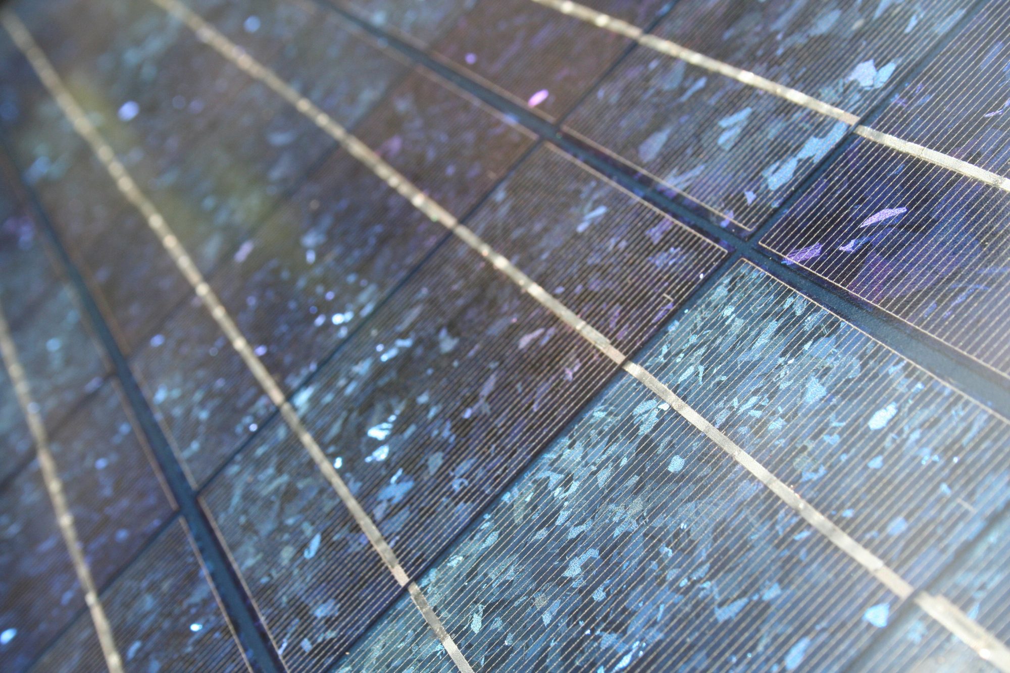 close up of a solar panel 