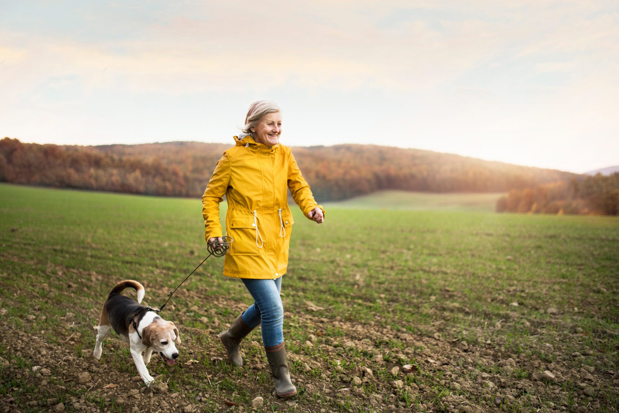 Senior woman getting exercise on dog walk