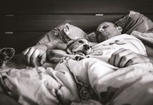 Man sleeping in bed with dog