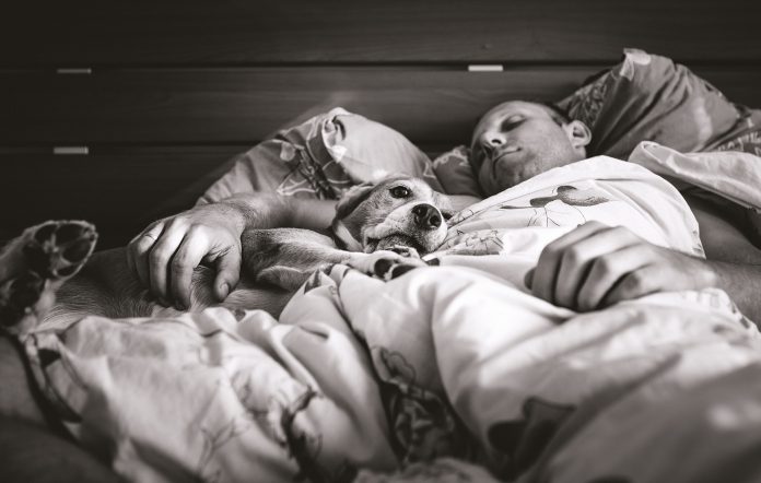 Man sleeping in bed with dog