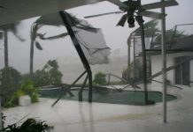 Back garden and patio ripped apart amid hurricane, palm trees can be seen flailing in the extreme winds